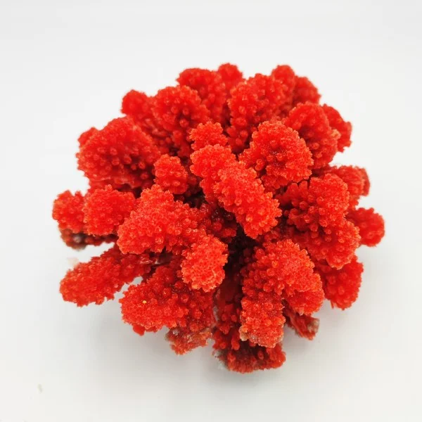 Kunstig koral Pocillopora verrucosa M (Red)